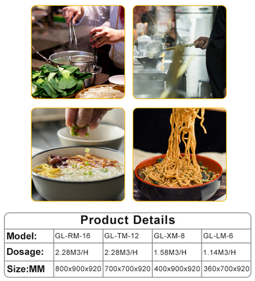 GL-RM-6 Restaurante kookapparatuur met LPG/NG-voeding en 340x550x270/30x2L tankgrootte
