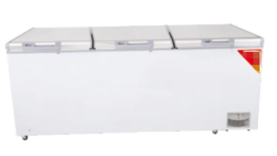 Heavy Duty Chest Freezer voor optimale bevriezing en snelle micro-bevriezing