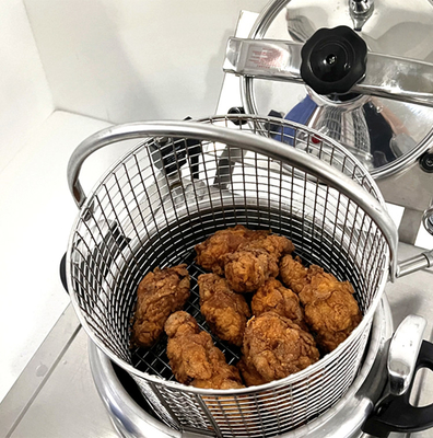 Draagbare 16L Chicken Fryer voor commercieel hotel met 21 kg N.W. en 3 kW stroom